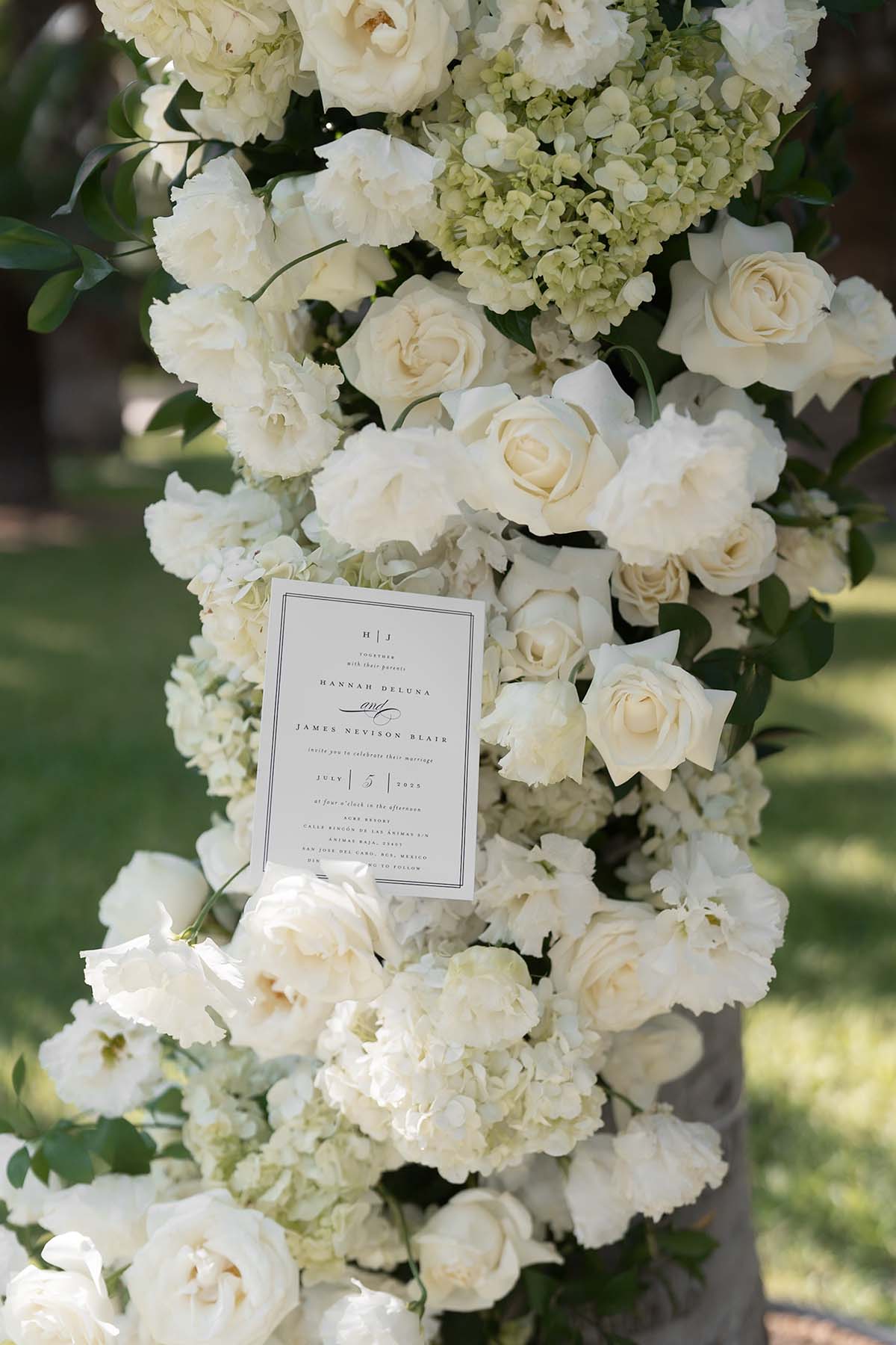 Who are the Top Floral Designers in Cabo San Lucas for Weddings